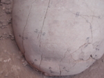 L_V14d7554 A16.000 L619 jff